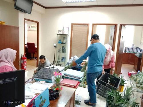 mapt ke24-43 FILEminimizer